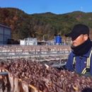 천해수산 네이버블로그