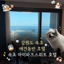 동해애견센터 | 동반 숙소] 강원도 속초 아이파크스위트호텔 애견동반 솔직 후기｜약간 아쉬웠던 솔직 리뷰 (내돈내산)