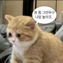 시장국밥 이미지