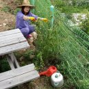 솔소리농장 이미지