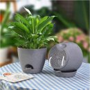 미니정원 이미지