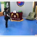 용인대한얼태권도 이미지