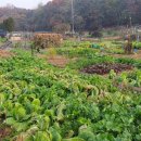 입동농장 이미지