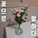 cu원주명륜점 | [인테리어] 행구동 꽃집 &#39;꽃으로 말하다&#39;. 분홍장미로 집 꾸미기