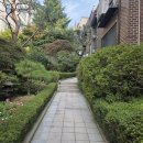 서래마을 이미지