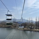 황새마을 | 봄 나들이로 서울대공원 동물원 다녀온 후기