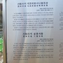 양양 서림사지 석조비로사나불 좌상 네이버블로그