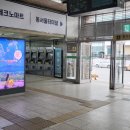 다온메르시