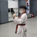 세심태권도 이미지