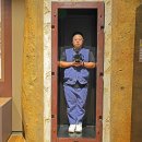 금강송테마전시관 이미지