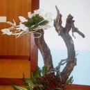 에벤에셀 이미지