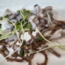 활어장군 이미지