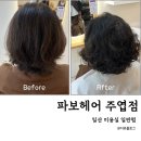 파보헤어 - 고양시 일산서구 주화로 70 | 일산 열펌 잘하는 미용실 파보헤어 주엽점 모이스쳐 펌 후기