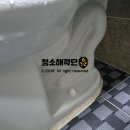 청소해적단 이미지