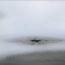 쌍방울 얼음
