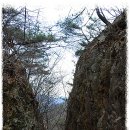 대전둘레산길(3구간) 이미지