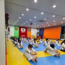 용인대스카이태권도 이미지