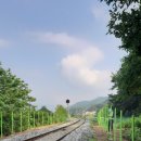 제일미니중기 이미지