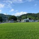 은사보건진료소 티스토리