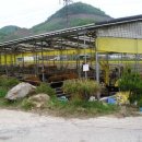 람세스한우농장 이미지