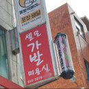 셀모가발미용실