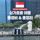 찬스!돔 관광나이트 | [싱가포르] 8월 성수기 혼자 여행 2박 4일 총정리 | 1인 경비 일정 호텔 준비물 등 완벽 가이드