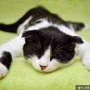 월드세탁 이미지