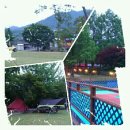 양평 프라자 관광농원 이미지