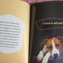 오너랭귀지 이미지