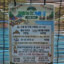 정수농장 | 의정부 자일농장가든｜서울근교 가성비 좋은 취사가능 수영장.