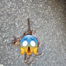 행복카클리닝 이미지