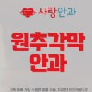부천사랑안과의원 네이버블로그