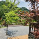 [연천] 우니메이카 연천 캠핑장 2박3일