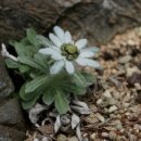 연아상점 이미지