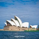 호주면세점 이미지