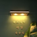 카리언