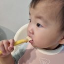 (주)에코맘의 산골이유식 농업회사법인 | 2025년 11월 10일 ~ 11월 16일 이유식 식단