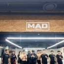 부산대 팀매드 이미지