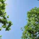 하늘오두막 이미지