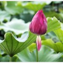 맥도생태공원 이미지