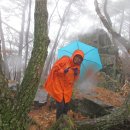 제 49차 경남고성 거류산 송년산행 이미지