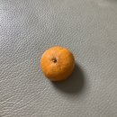 신우재한의원 이미지