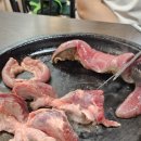 갈매기숯불소금구이