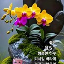 원독 네이버블로그