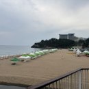 중앙순대 이미지