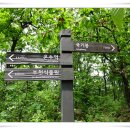 매봉초등학교 이미지