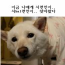 [암 극복일기2] 강남차병원 CIN3 원추절제술 제자리암 수술 후기
