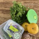 다라니농장 이미지