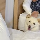 모항레저타운 이미지