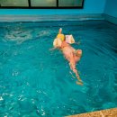 해비알 | 태안 안면도 반포해수욕장 바로 앞 [해비알풀빌라] 오션뷰 수영장과 스파, 가족여행 후기